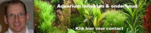 Aquarium inrichten